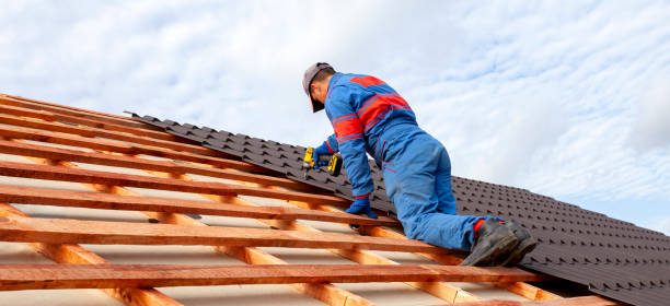 Best Roof Coating and Sealing  in Goose Creek, SC